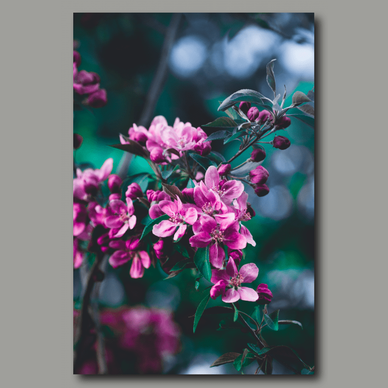 Poster: Flowers – Bild 2